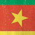 Cameroon Flag Distressed iPhone XS Pro Case
